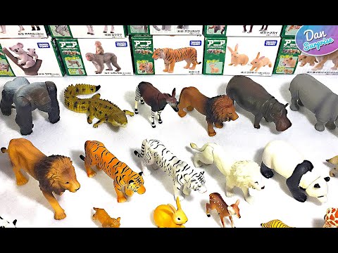 Wild Animals Takara Tomy Full Collection Showcase