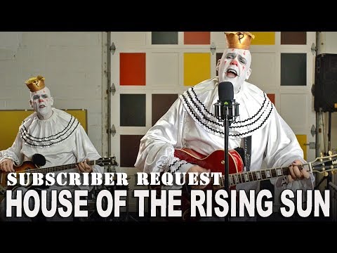 HOUSE OF THE RISING SUN - Animals - Subscriber Request