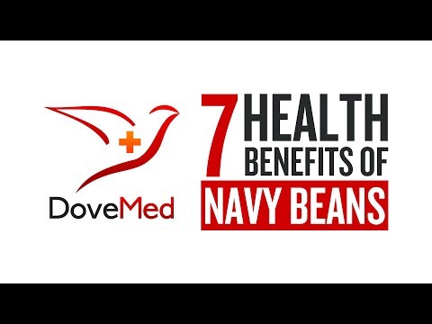 download lagu mp3 mp4 Navy Bean Soup Calories, download lagu Navy Bean Soup Calories gratis, unduh video klip Navy Bean Soup Calories