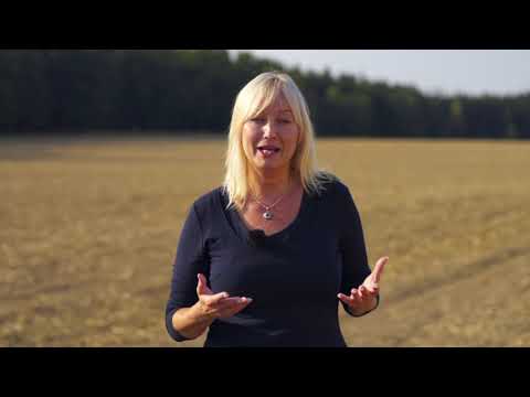 Poutnice aneb Tři cesty do Santiaga