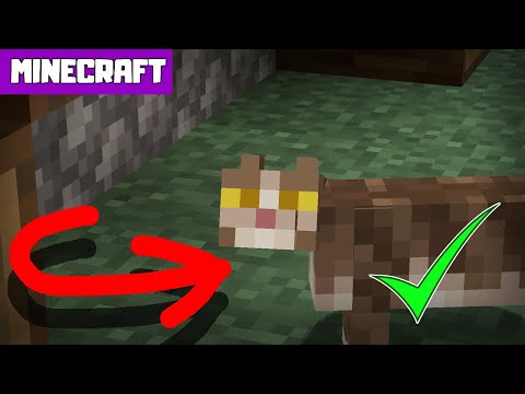 How to Spawn CATS in Minecraft Survival!