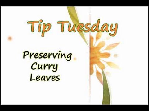Preserving Curry Leaves - Indian Household Tips