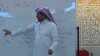 صورة مهارات التحليل النحوي | أ.د. محمد العمري | الدرس الرابع عشر