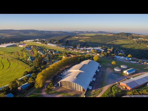 Andacht 02-02-2021 - Mission KwaSizabantu