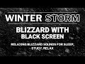 Winter Snow Storm Cold Wind Howling Heavy Snow Relaxing Blizzard Sounds For Sleep Study Relax