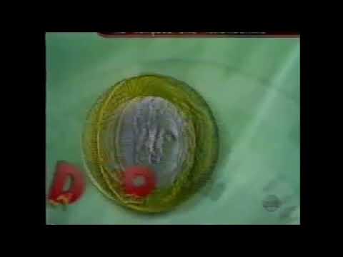 Chamada: Topa Tudo por Dinheiro - SBT (09/01/2000)