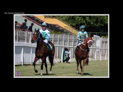 PHOTO GALLERY 2016 - RACE MEETING 09