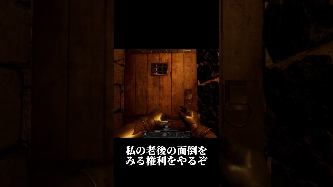 クリスマスにDark and Darkerをプレゼント #shorts