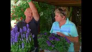 The Gardener Magazine: A Visit To Keith Kirsten's Garden