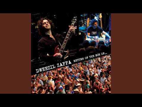 Broken Hearts Are for Assholes (Live)