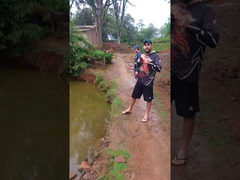 Carpa com isca artificial. Spitfire 75 OCL.