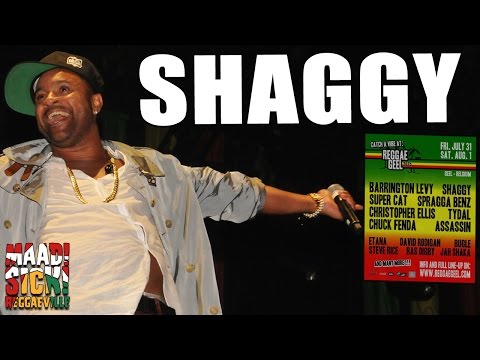 Shaggy - Church Heathen @ Reggae Geel 2015