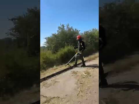 Limpezas Urbanas 