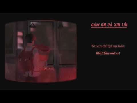 [BARITONE] - CẢM ƠN VÀ XIN LỖI - KARAOKE TONE NAM TRUNG