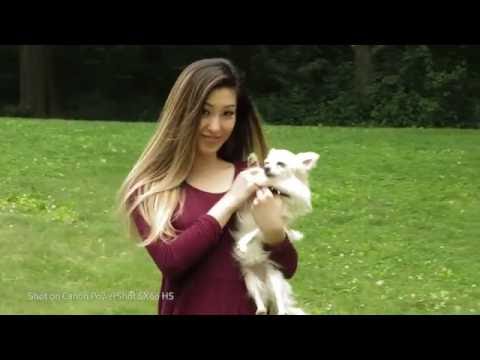 SX Series - Super zoom Super compact