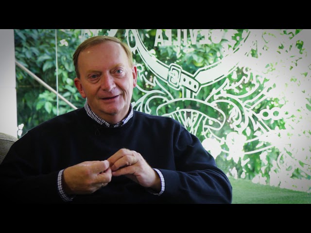 Vídeo relacionado con La bruma verde: Premio de Novela Fernando Lara 2020 (Autores Españoles e Iberoamericanos)