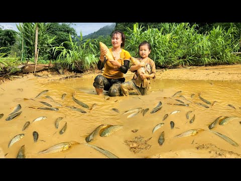 Single Mom Release the pond to catch giant fish to sell with his daughter - cooking | Tương Thị Mai
