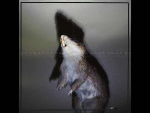 Fochs Koshka - Slimey Cinderellafish [HF001]