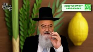 הגאון הרב אהרון בוטבול - הלכה יומית - י"א תשרי התשפ"ו - כיצד לרכוש ארבעת המינים? (הרב אהרון בוטבול) - התמונה מוצגת ישירות מתוך אתר האינטרנט יוטיוב. זכויות היוצרים בתמונה שייכות ליוצרה. קישור קרדיט למקור התוכן נמצא בתוך דף הסרטון הגאון הרב אהרון בוטבול - הלכה יומית - י"א תשרי התשפ"ו - כיצד לרכוש ארבעת המינים? (הרב אהרון בוטבול) - התמונה מוצגת ישירות מתוך אתר האינטרנט יוטיוב. זכויות היוצרים בתמונה שייכות ליוצרה. קישור קרדיט למקור התוכן נמצא בתוך דף הסרטון