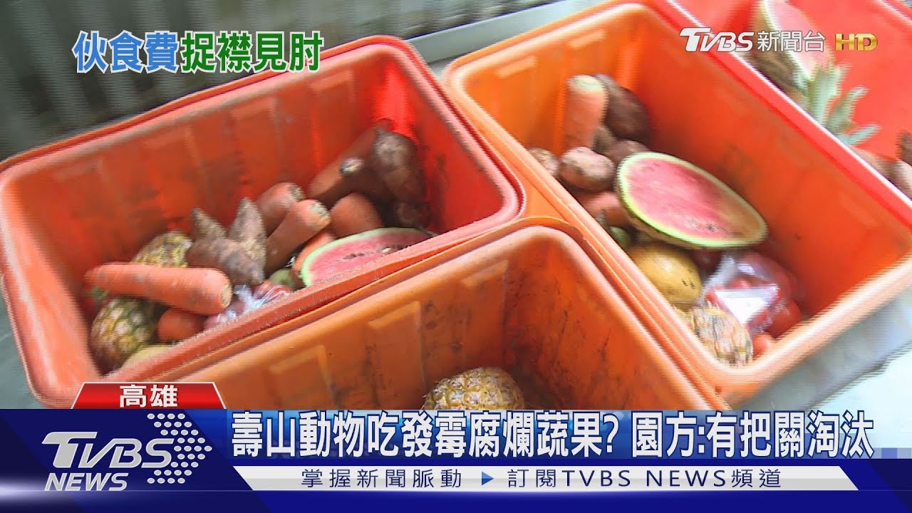 壽山動物吃發霉腐爛蔬果? 園方:有把關淘汰