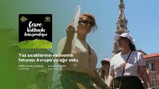 Yaz sıcaklarının ekonomik faturası Avrupa’ya ağır oldu