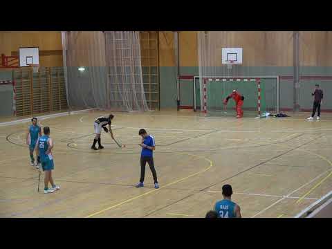 2019 Australian Men's Indoor Hockey Austria Tour Saves