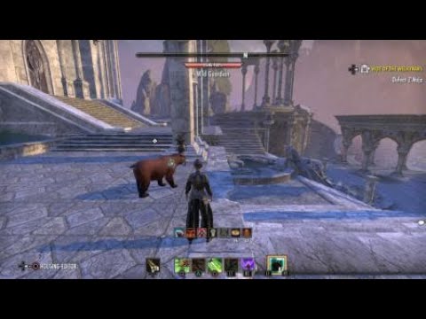 55k dps Stamina Warden on 6mil dummy Scalebreaker (No vMA Dual Wield and no Masters Bow)