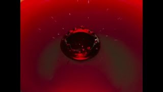 Santalucia, il progetto che sostiene la Banca degli Occhi