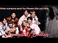 8 Protective Brothers Stray Kids FF