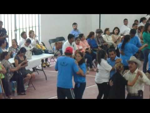 Nimesulide e trattamento di ginocchio Quando mal di mal di schiena nel basso addome