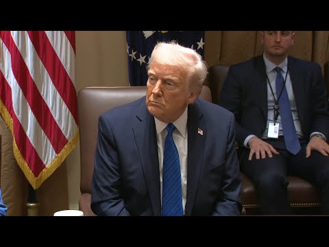Video Thumbnail: Trump says would 'love' to defund US public broadcasters | AFP