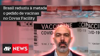 Schelp: Brasil desprezou a vacina como solução contra a pandemia por quase todo ano de 2020