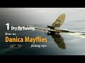 How to • Dry fly fishing • Danica Mayflies • fishing tips
