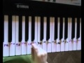 как играть на пианино :от улыбки,крошка енот 
