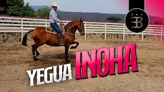 Chuy Lizárraga - El Vlog - Rancho El Aguacaliente -Yegua Inoha
