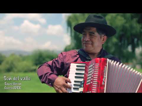 SAUCE LLORON  ( CUECA )       #cuecard2023 #boliviaquerida #sondelvalle #cochabambabolivia