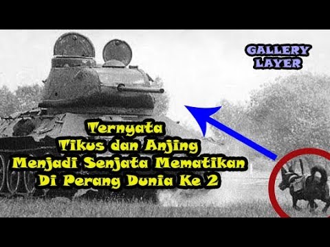 World War 2 | 10 senjata mematikan dalam perang dunia 2.!! Video Asli Dokumenter Perang Dunia 2.