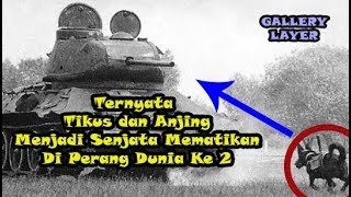 Download lagu World War 2 | 10 senjata mematikan dalam perang dunia 2.!! Video Asli Dokumenter Perang Dunia 2. mp3