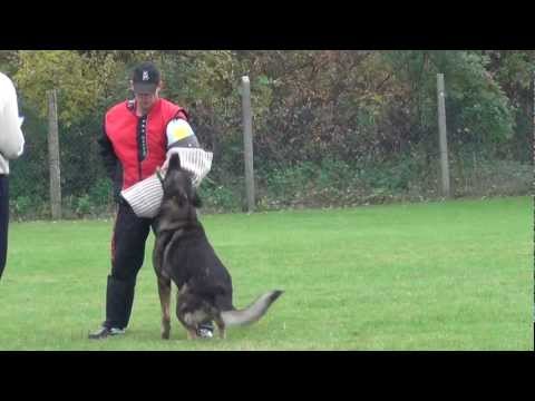 Szigetköz Kupa - MNJK Nemzeti bajnokság 2011. Kotogán Zsolt C:91