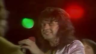 CHICORY TIP     WHAT´S YOUR NAME