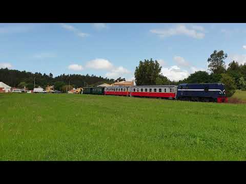 Comboio n.º 31305 - Azurva