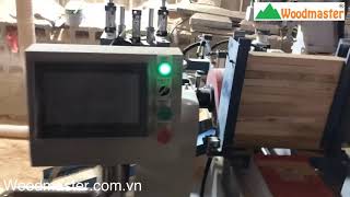 Máy Cắt 2 đầu khoan cạnh và lắc Mộng oval âm + phay vạt cạnh liên hoàn 4 công đoạn làm chân trước