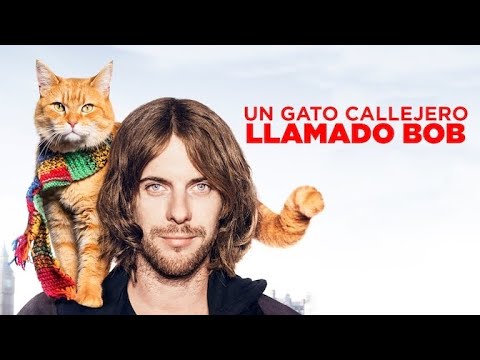 😸"UN GATO CALLEJERO LLAMADO BOB"😽 Pelicula completa en español full HD 