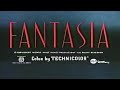 Opening To Fantasia 1991 VHS French Canadian Copy