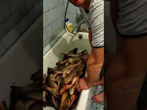 На рыбалку без водки😂😂😂
