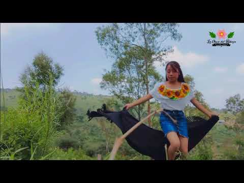 LA CHICA DEL REBOSO ALISS PEÑA OFICIAL  ORGANO LA CLAV3 M1XTECA  EL HUARACHES ROTO  PRODUCCIÓN 2021