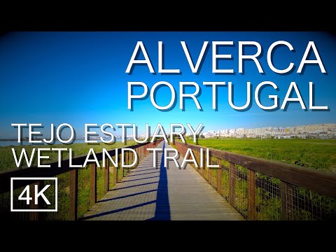 [4K 60fps] WETLAND TRAIL - TEJO RIVER, ALVERCA, Portugal 2021 ASMR 60fps