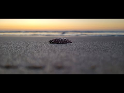 Sunrise over the Panadanus resort and Malibu beach 🇻🇳Vietnam 2024 4K UHD