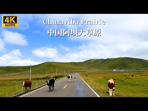 Driving on the Aba Prairie Highway - Sichuan Province, China - 4K