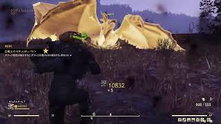 夫妻とFallout76　√47　放浪旅-URAを求めて森林3000回/沼1600回
